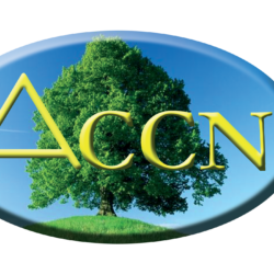 ACCN